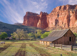 The 15 Best Things to Do In Capitol Reef National Park