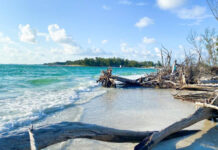 10 Hidden Gems In Miami, Florida