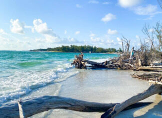 10 Hidden Gems In Miami, Florida