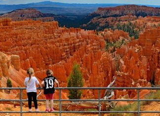 The 16 Best US National Parks to Visit with Kids kids