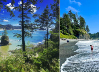The 17 Best Hikes in Olympic National Park