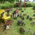 20 Image courtesy of WordPress Susan Dorling