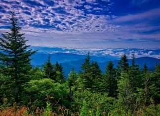 The 35 Best Things To Do In Tennessee Tennessee