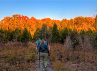 12 Best Hikes Near Nashville, Tennessee Tennessee